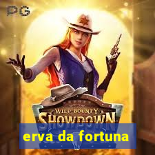 erva da fortuna