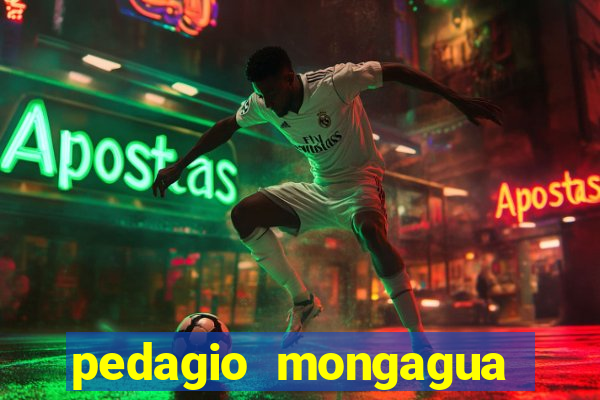 pedagio mongagua sao paulo