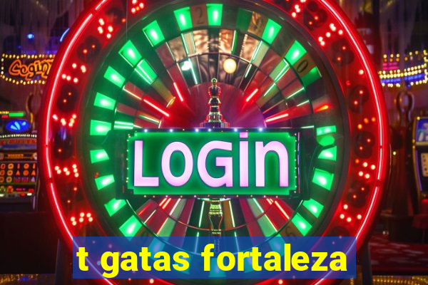 t gatas fortaleza