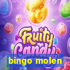 bingo molen