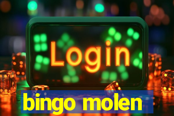 bingo molen