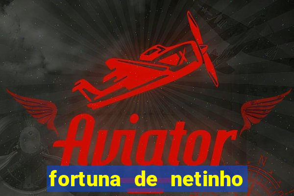 fortuna de netinho de paula