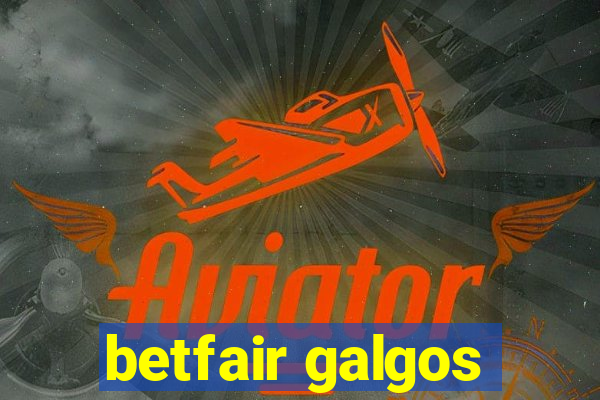 betfair galgos