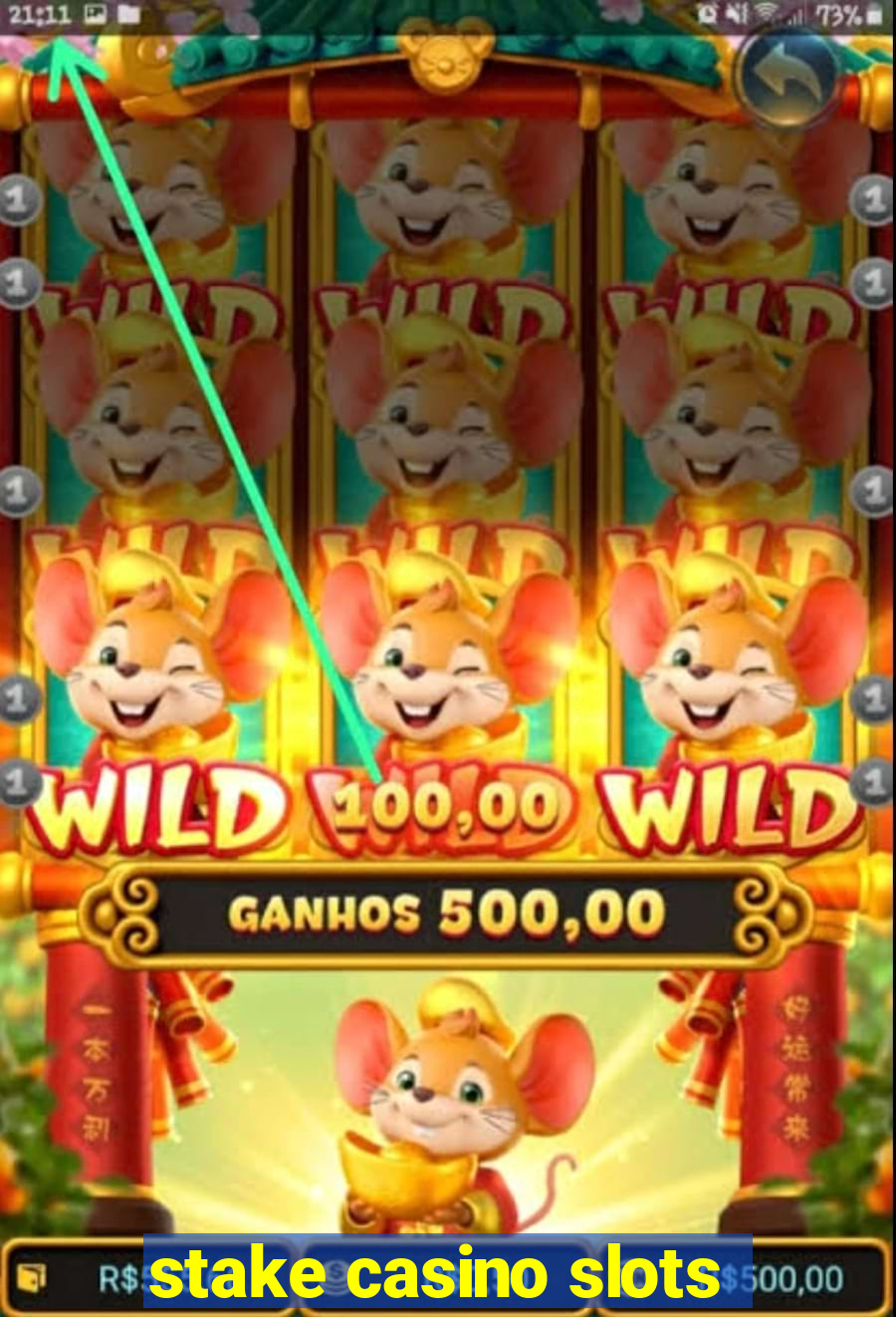 stake casino slots