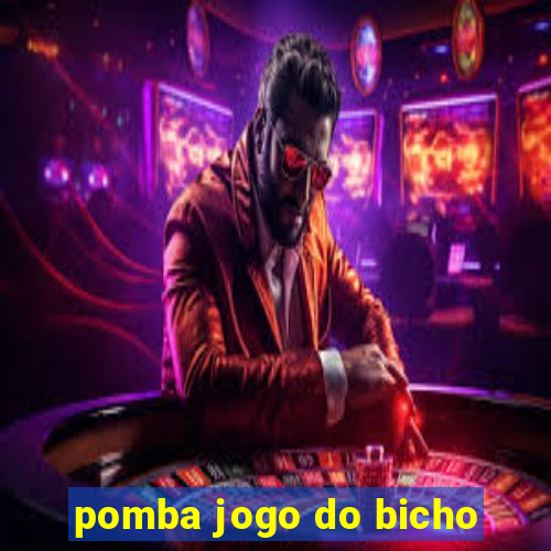 pomba jogo do bicho