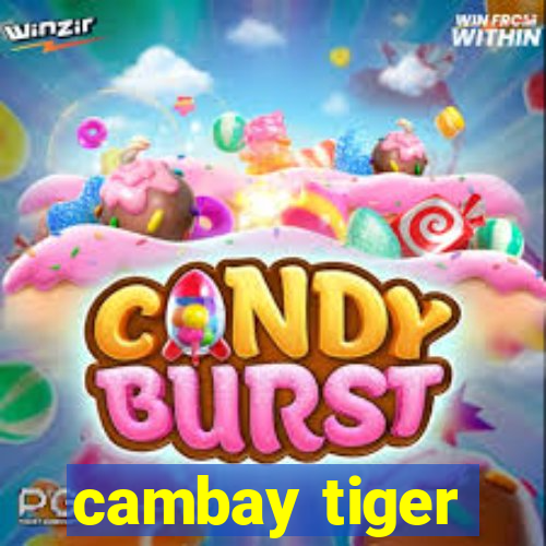 cambay tiger