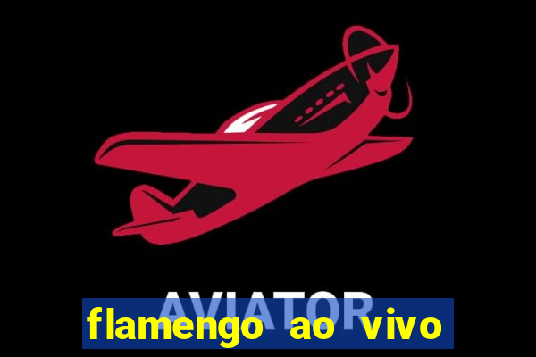 flamengo ao vivo multi tv