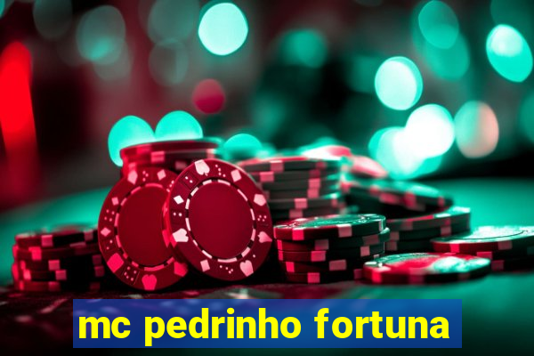 mc pedrinho fortuna