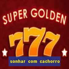 sonhar com cachorro numeros da mega sena