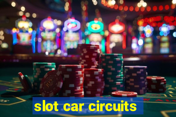 slot car circuits