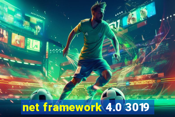 net framework 4.0 3019