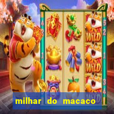 milhar do macaco que mais sai