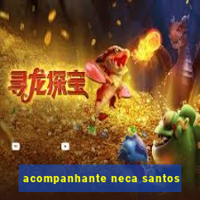 acompanhante neca santos