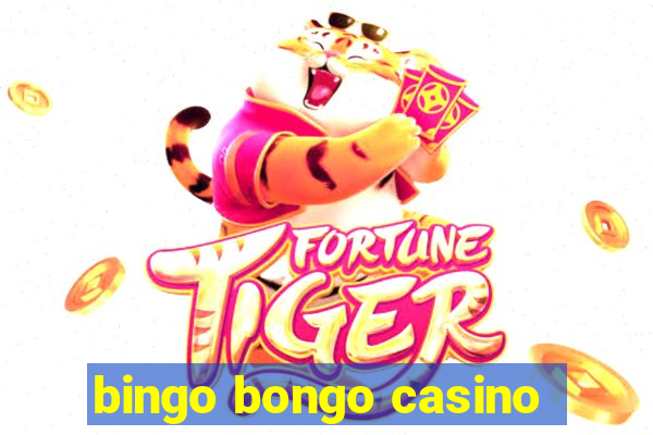 bingo bongo casino