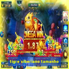 tigre siberiano tamanho