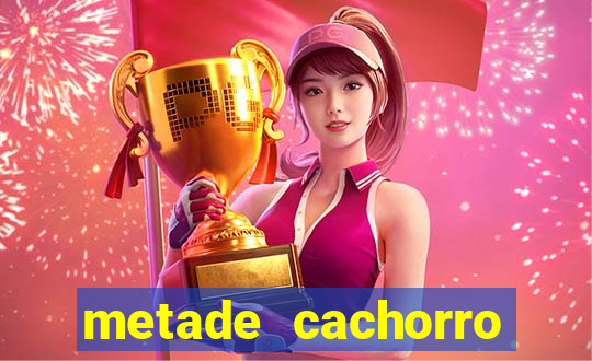 metade cachorro metade gato