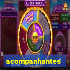 acompanhantes chamadas de video