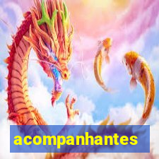 acompanhantes chamadas de video