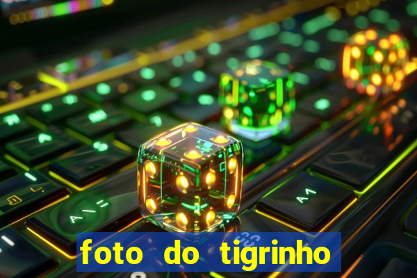 foto do tigrinho do jogo