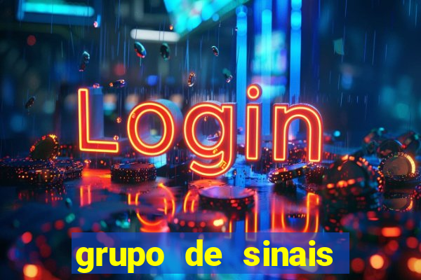 grupo de sinais fortune rabbit