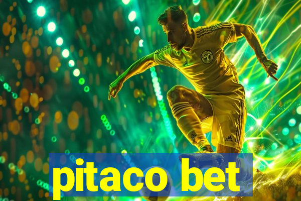 pitaco bet