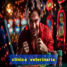 clinica veterinaria cuidar betim