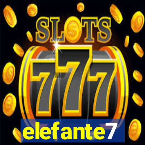 elefante7