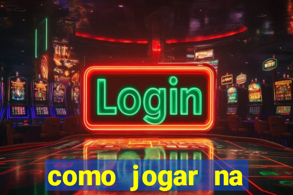 como jogar na lotinha do jogo do bicho