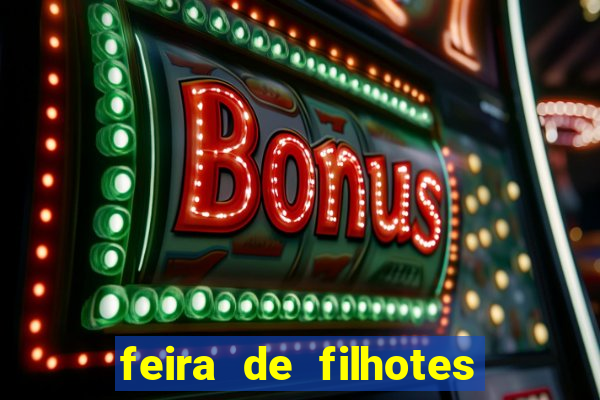 feira de filhotes porto alegre