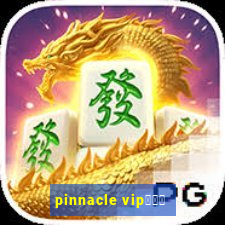 pinnacle vipコード