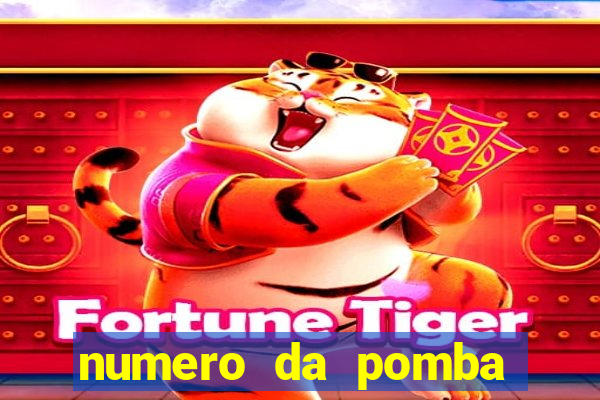 numero da pomba jogo do bicho