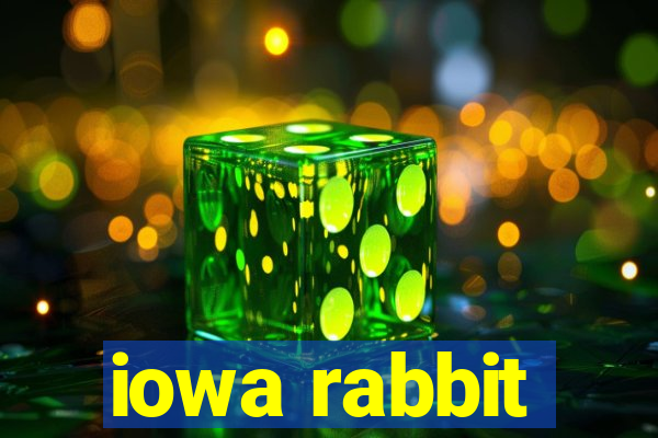 iowa rabbit