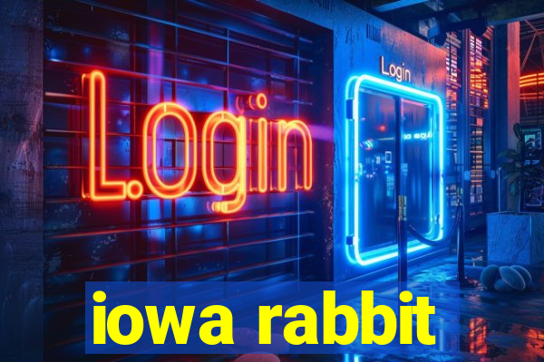 iowa rabbit