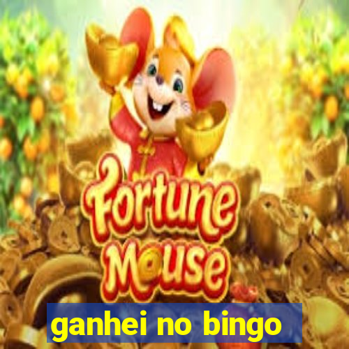 ganhei no bingo