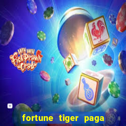 fortune tiger paga de madrugada