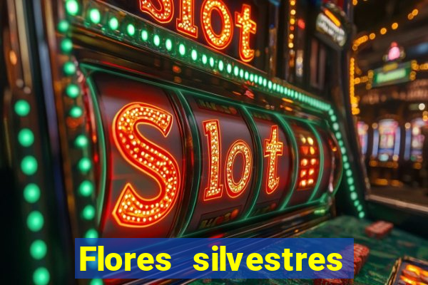 Flores silvestres brasileiras 25