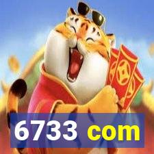 6733 com