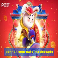 sonhar com gato machucado