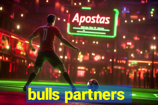 bulls partners