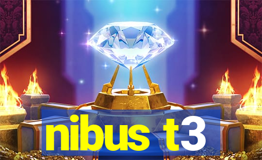 nibus t3