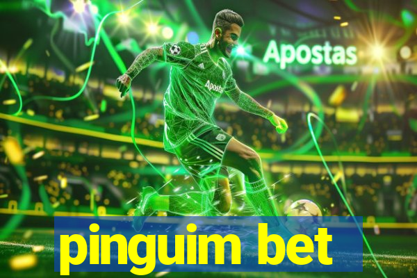 pinguim bet