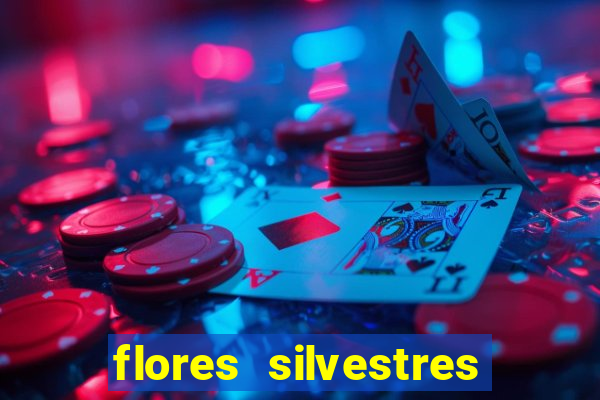 flores silvestres desbravadores desbravadores 25 flores silvestres e seus nomes