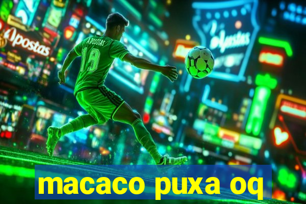 macaco puxa oq