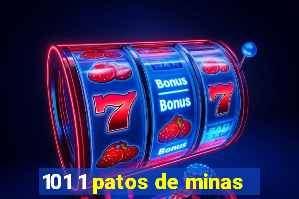 101 1 patos de minas