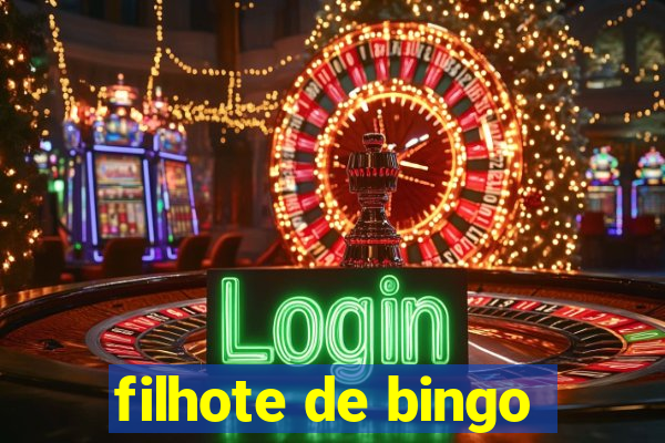 filhote de bingo