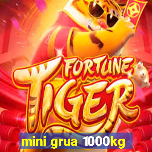 mini grua 1000kg