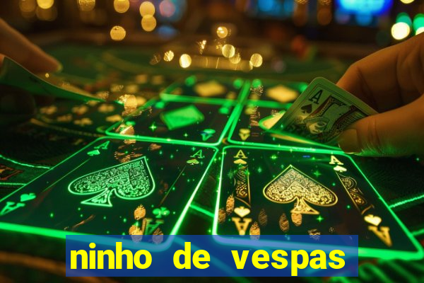 ninho de vespas significado espiritual