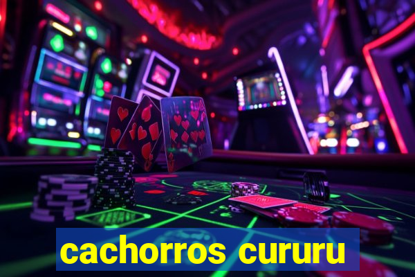 cachorros cururu