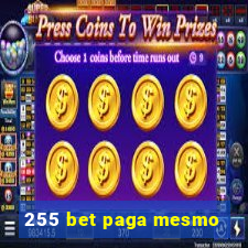 255 bet paga mesmo