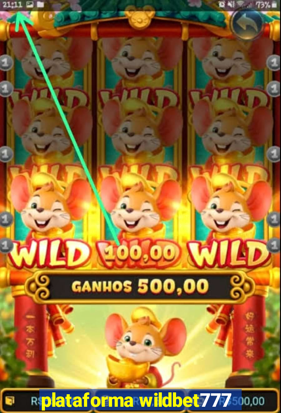 plataforma wildbet777